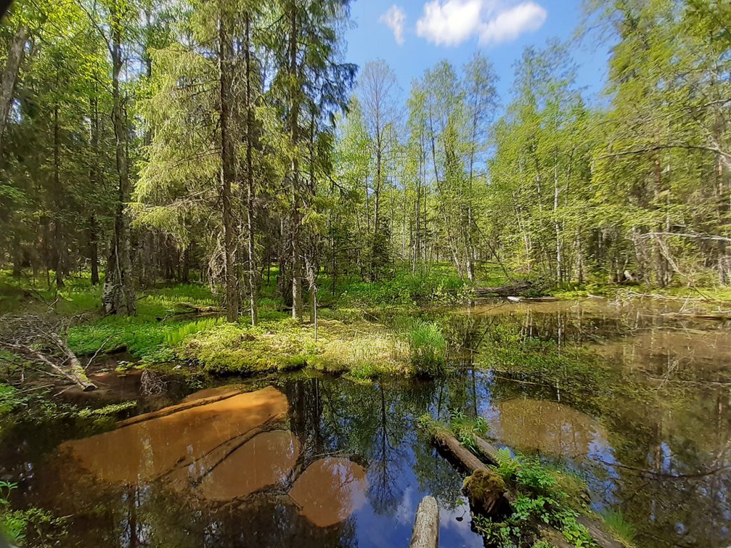Uhrilähde Jämillä
