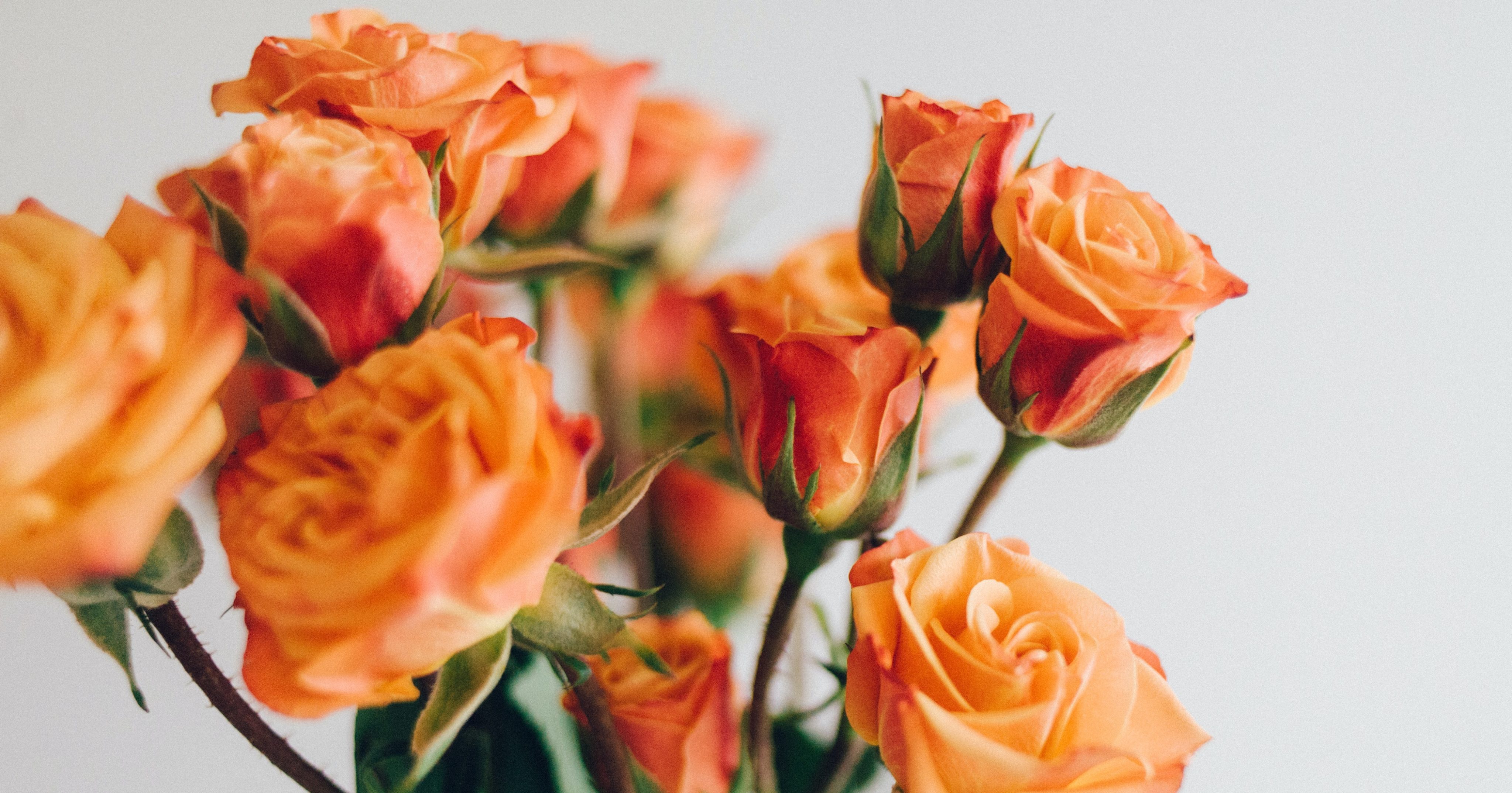 Orange bouquet.