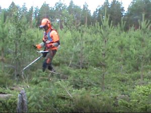 Mies metsätöissä