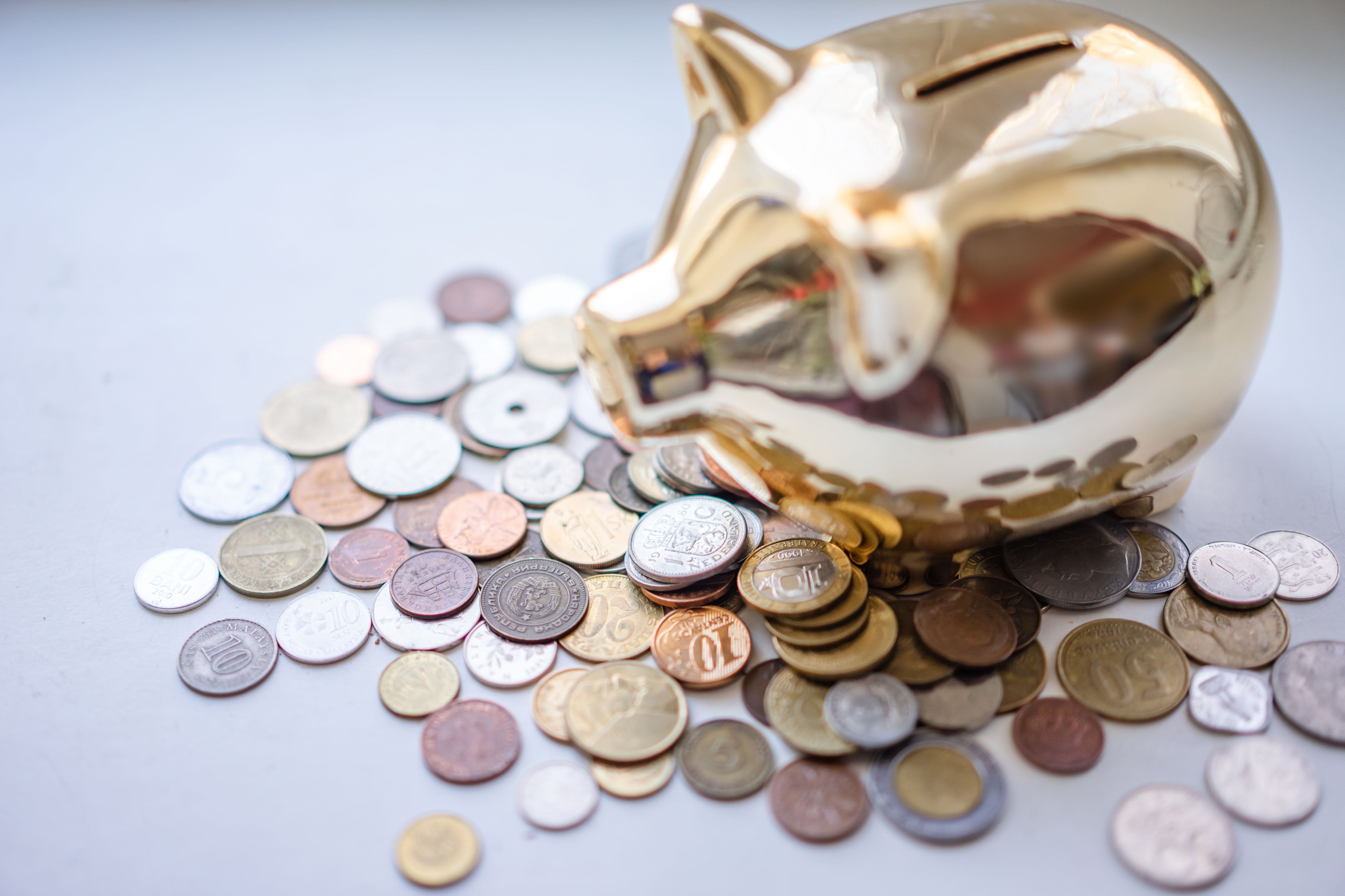 Piggy bank and coins