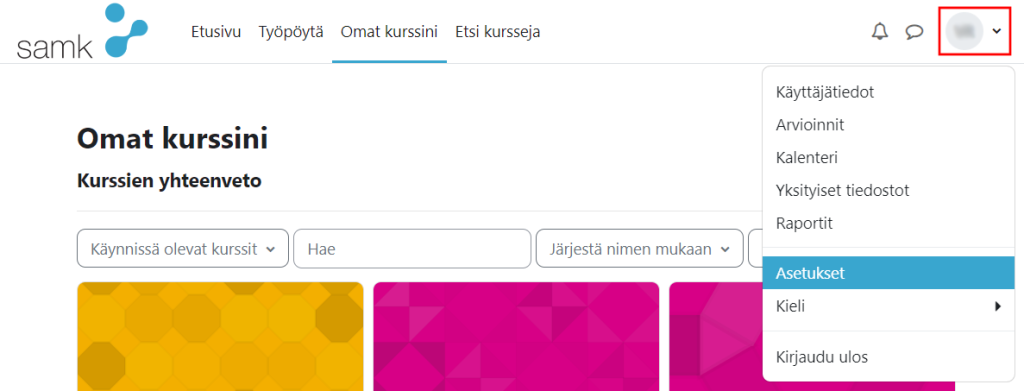 Moodlen käyttäjäprofiilin asetukset.