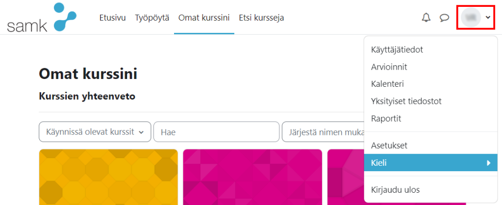 Moodlen käyttäjäprofiilin asetukset.