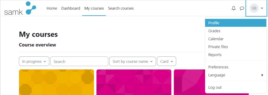 Moodle profile settings.