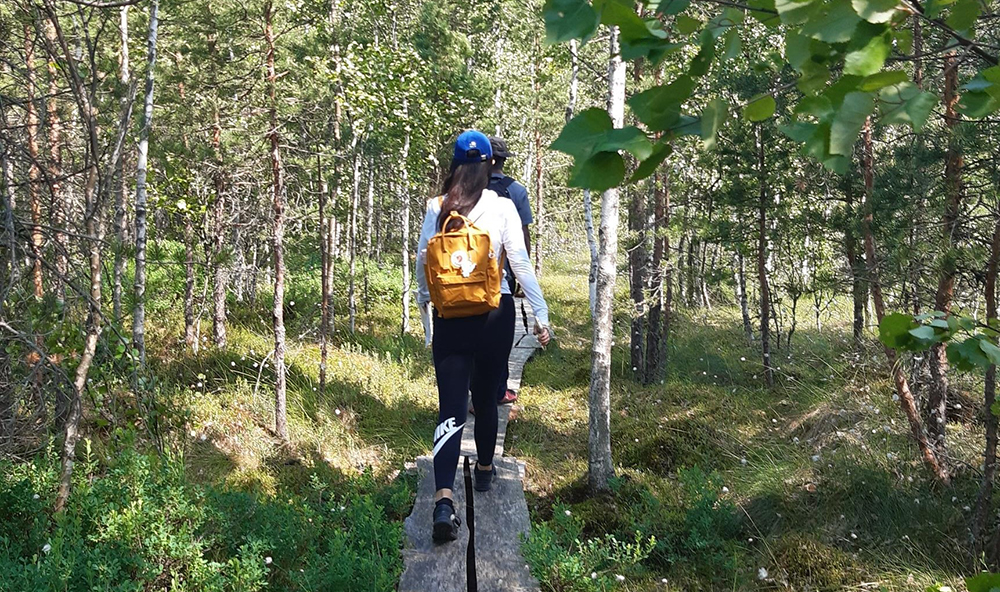 Students walk along the elongated trees in the woods.