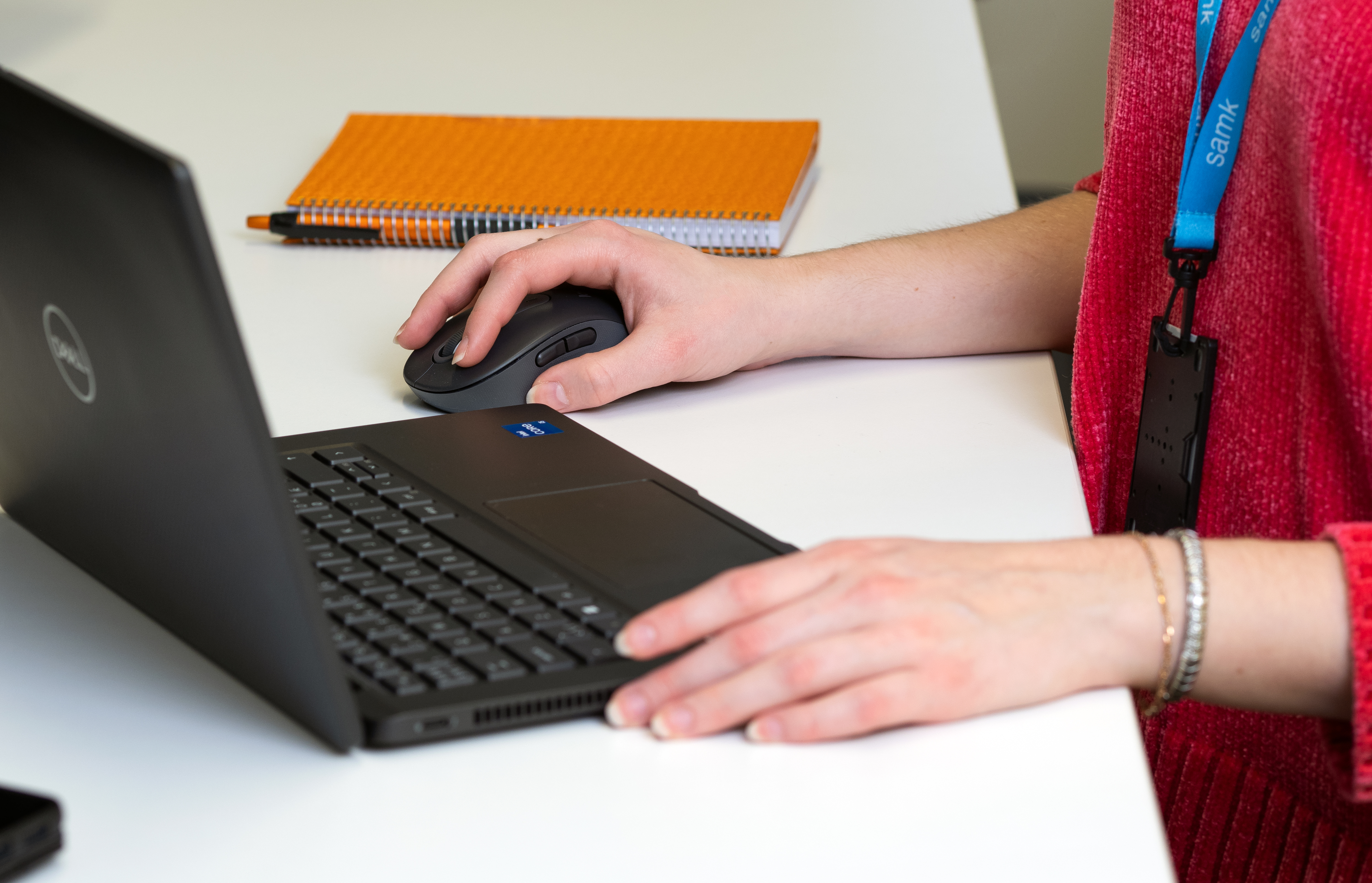 Hands using computer keyboard and mouse on laptop.