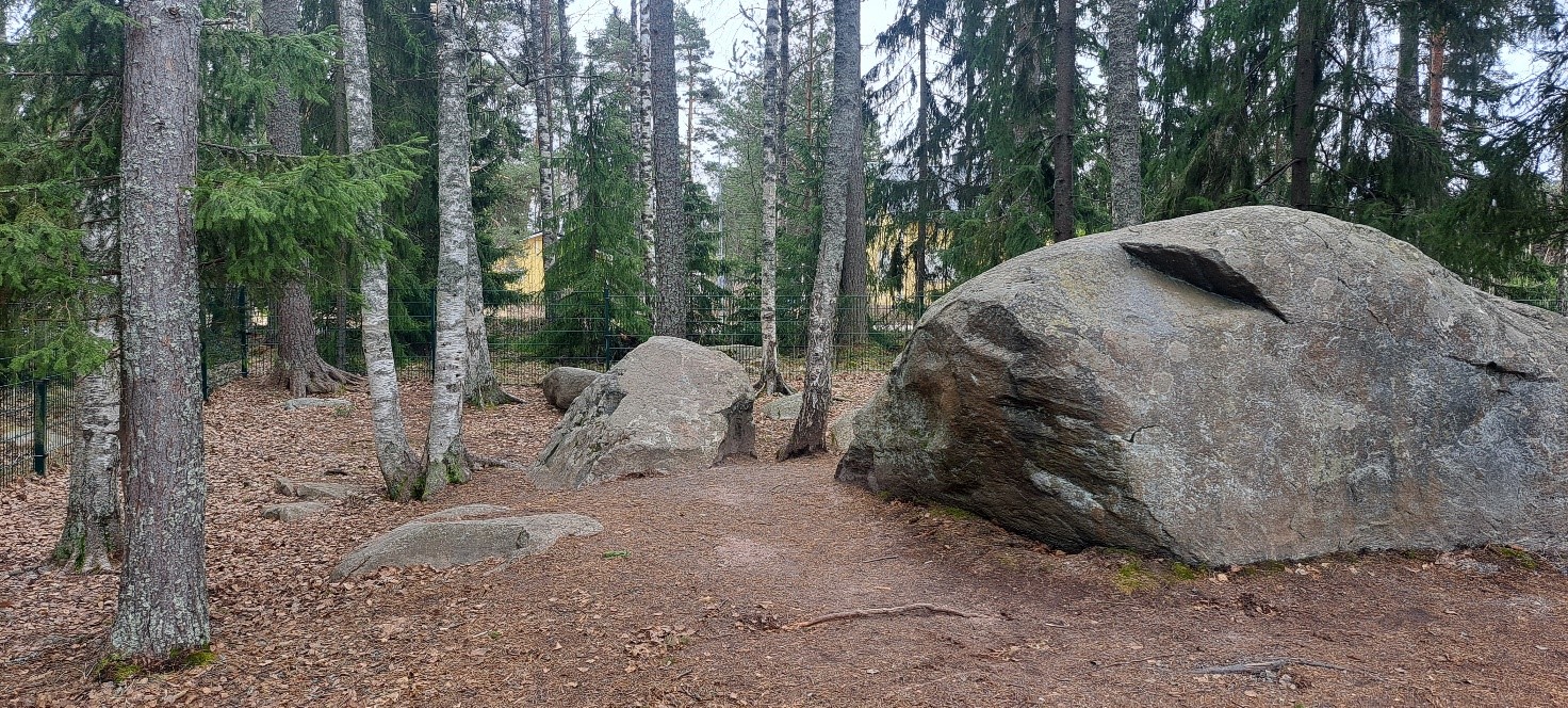 Enäjärven päiväkodin metsäinen piha-alue