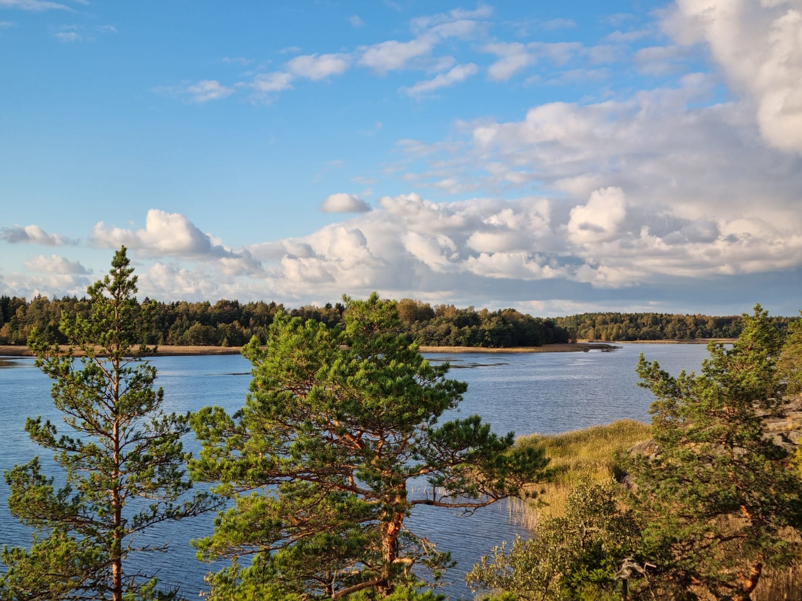 Seascape photographed from a cliff.