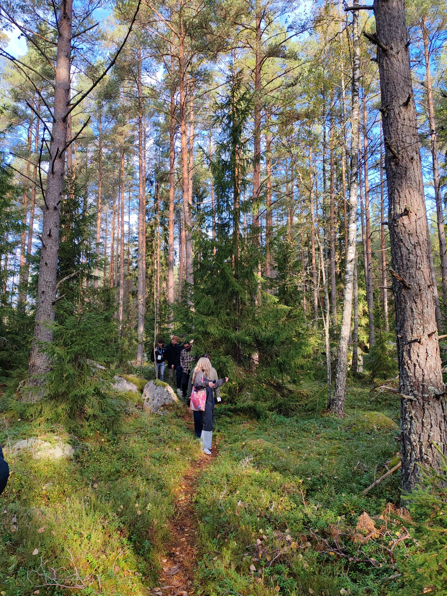 Conference participants in the forest.